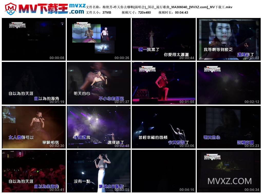 梅艳芳-昨天你去哪啊(演唱会)_国语_流行歌曲_MA306040